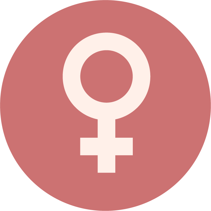 Mission Icon